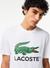 Lacoste T-Shirt - Men's Cotton Jersey Signature Print - White 001 - TH1285