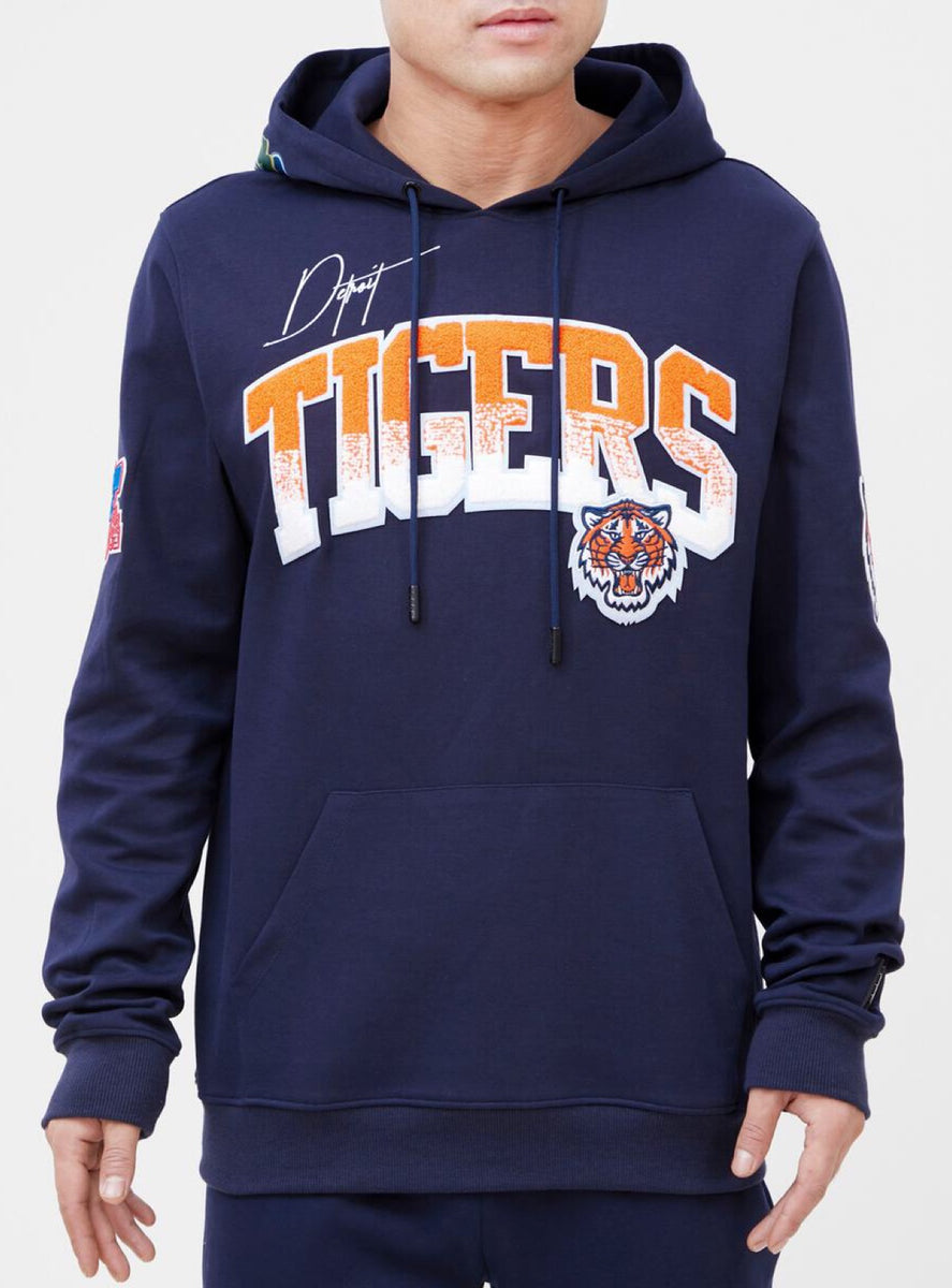 Detroit Tigers Pro Standard Hometown T-Shirt - Navy