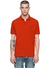 Purple-Brand Polo T-Shirt - Pique Knit - Red - P125 - MPRP423