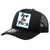 Pg Apparel Hat - Keep The Faith - Black And Carolina - STDPT200