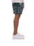 Icecream Shorts - Flavors - June Bug Green - 431-4104