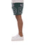 Icecream Shorts - Flavors - June Bug Green - 431-4104