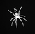 Spider T-Shirt - Signature Baby Tee - Black - TE022SS25