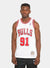Mitchell & Ness Jersey - Bulls 91 Rodman - White And Red - SMJYAC18079