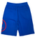 Runtz Shorts - Sessions - Blue - 40215