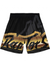 Mitchell & Ness Shorts - Big Face 4.0 Raptors - Black And Gold - PSHR1259