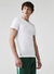 Lacoste T-Shirt - Crewneck Slim Fit 3-Pack - White - TH3321