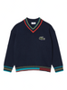 Lacoste Sweater - Kids' Cotton and Wool Blend V-Neck - Navy - AJ1201